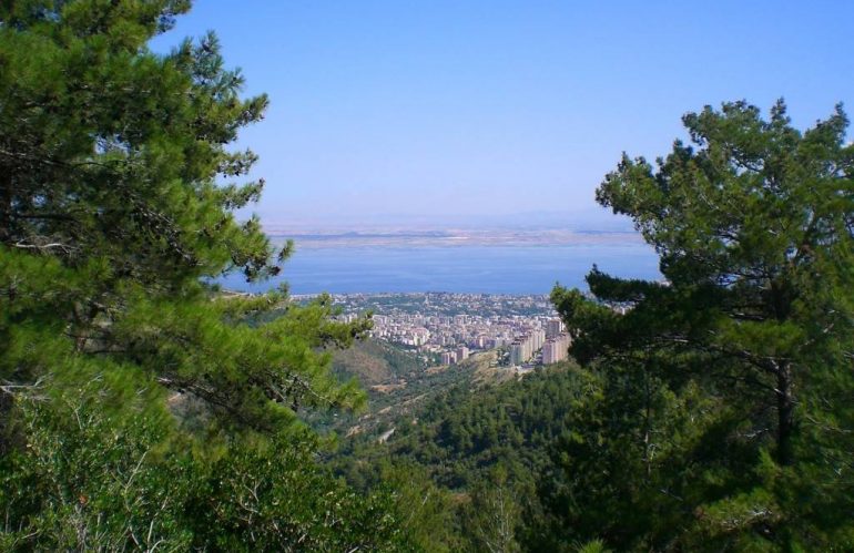 Narlıdere Korsan Taksi